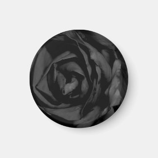 Magnet Rose noir