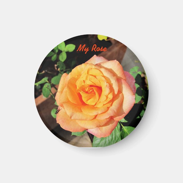 Magnet Rose orange (Devant)