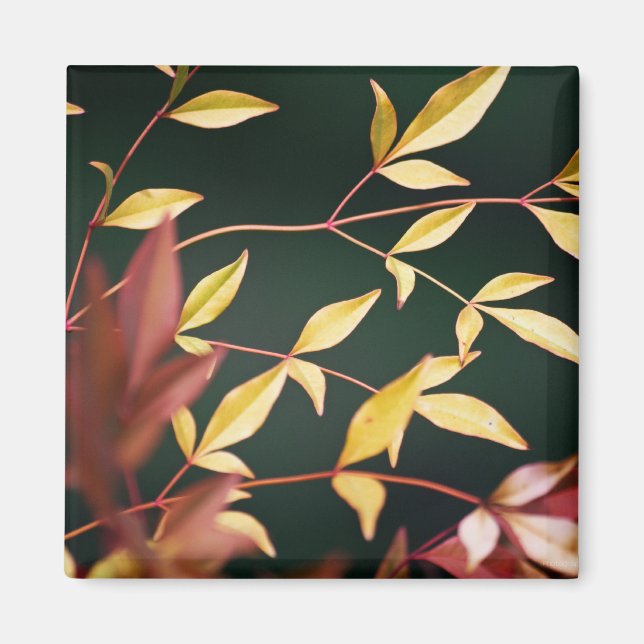 Magnet rouge et or (Devant)