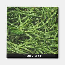 MAGNET - SAMPHIRE FRANÇAIS