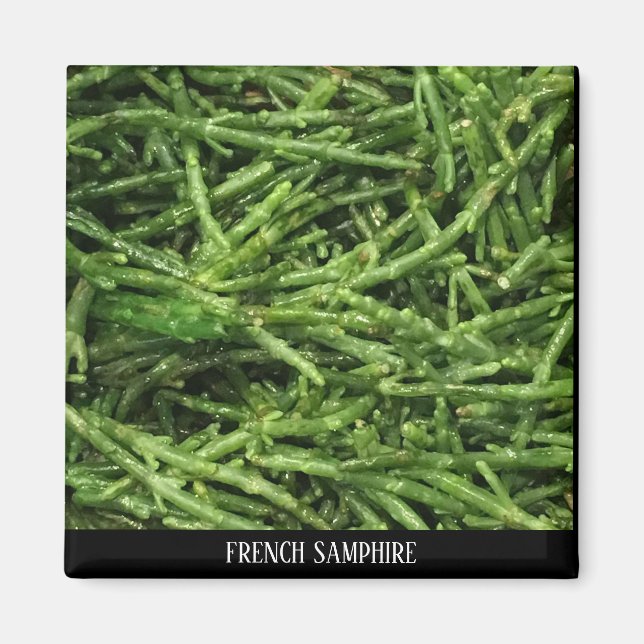 MAGNET - SAMPHIRE FRANÇAIS (Devant)