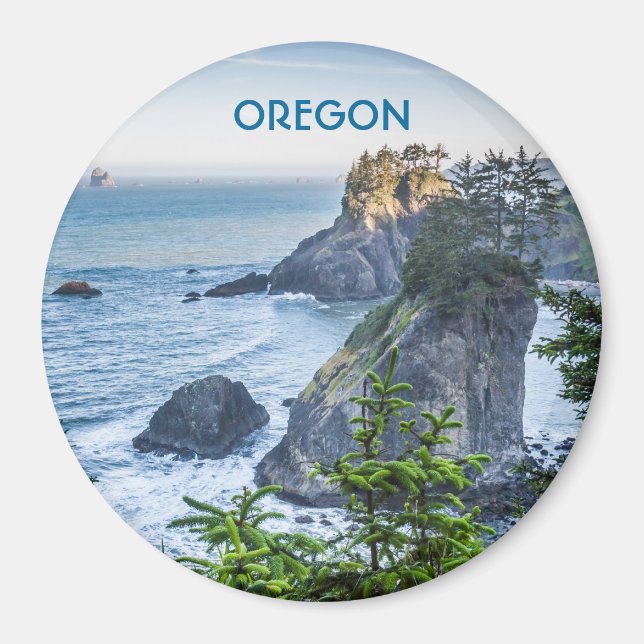 Magnet: Sea Stacks And Iris (Round) Magnet (Front)