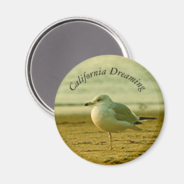 Magnet - Seagull Dreaming (Front/Back)