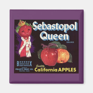 MAGNET ~ SEBASTOPOL QUEEN APPLES VINTAGE LABEL