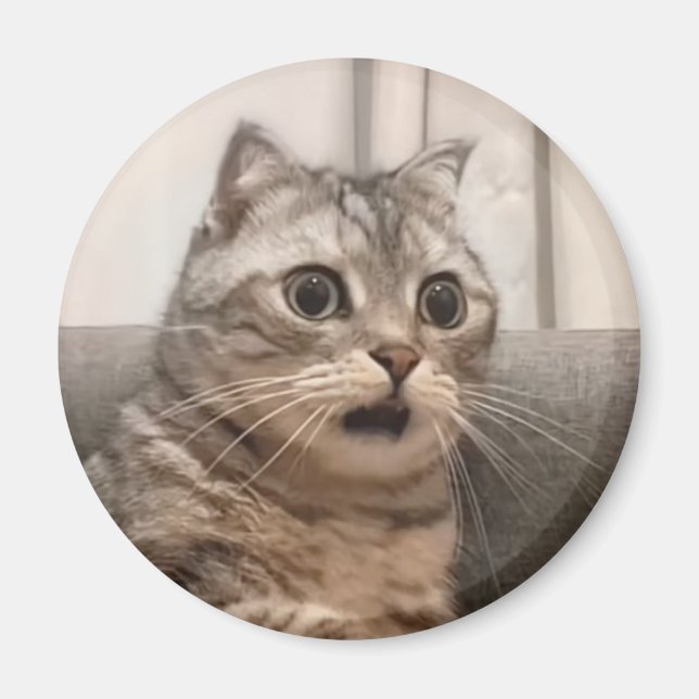 Magnet Shocked Chat Meme (Devant)