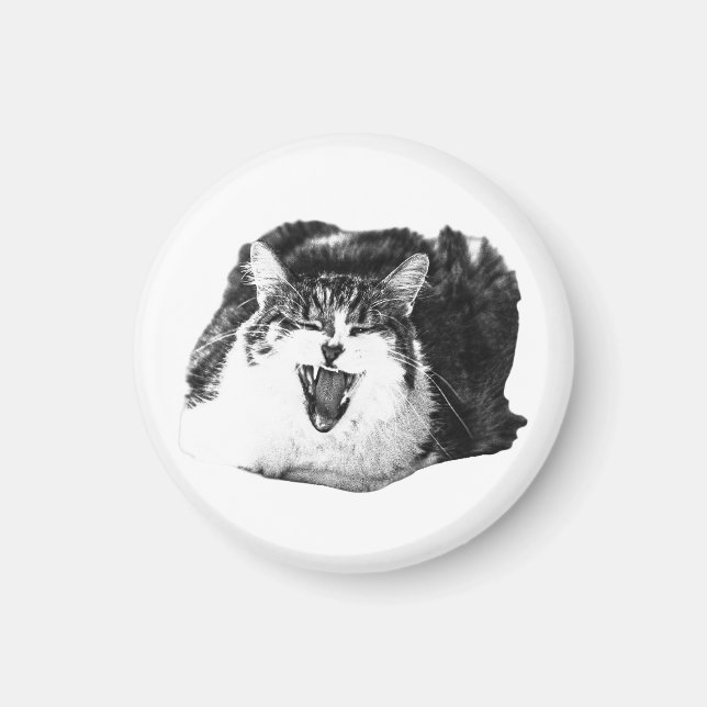 Magnet Smile, Feline Pop (Front)