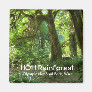 Magnet souvenir—Forêt tropicale Hoh, Pôle olym