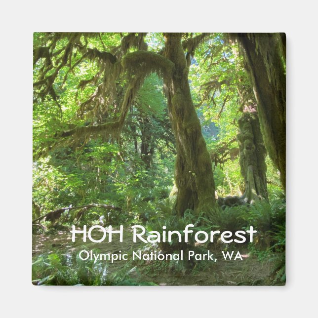 Magnet souvenir—Forêt tropicale Hoh, Pôle olympiqu (Devant)