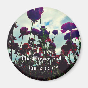Magnet souvenir : Les champs de fleurs à Carlsbad,