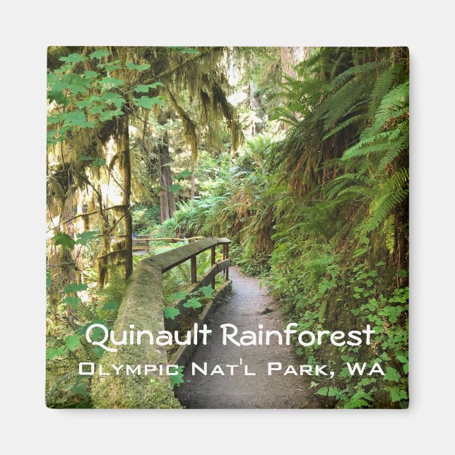 Magnet souvenir—Quinault Rainforest, NP olympique (Devant)