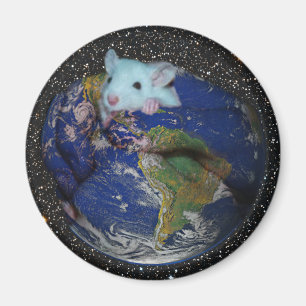 Magnet: Starry World Rat Magnet