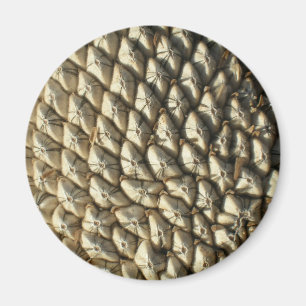 Magnet - Sunflower Seeds