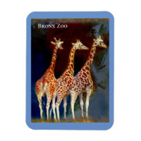 Magnet -  the Giraffes at the Bronx Zoo
