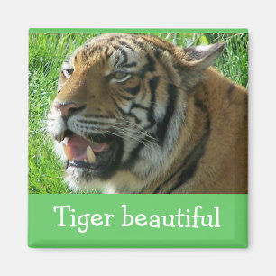 Magnet Tiger beautiful