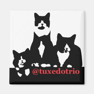 Magnet TuxedoTrio