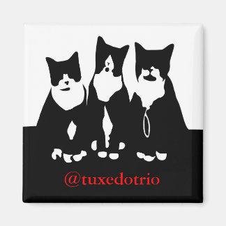 Magnet TuxedoTrio original