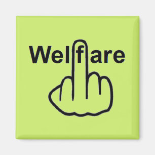Magnet Welfare Flip