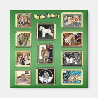 Magnet: Wheatie Moments Magnet