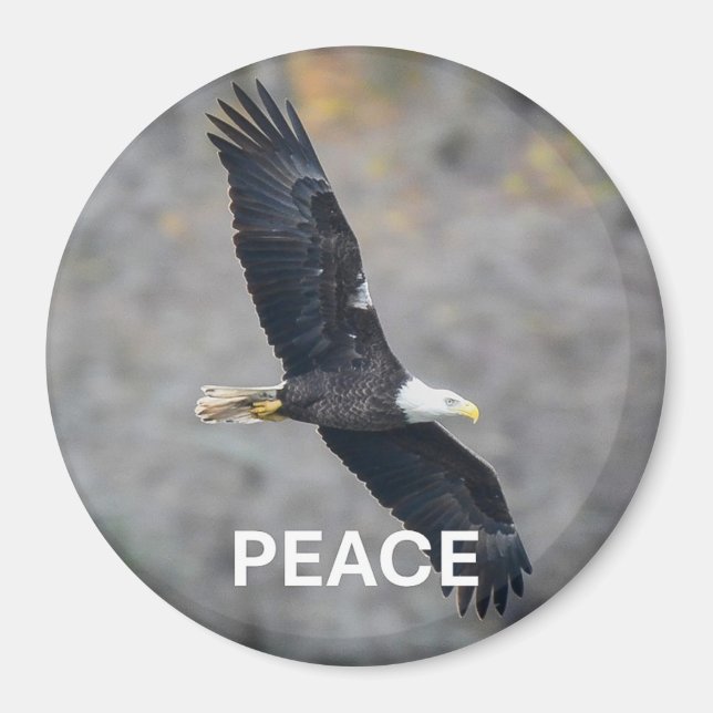 Magnet with Bald Eagle picture and the word Peace (Devant)