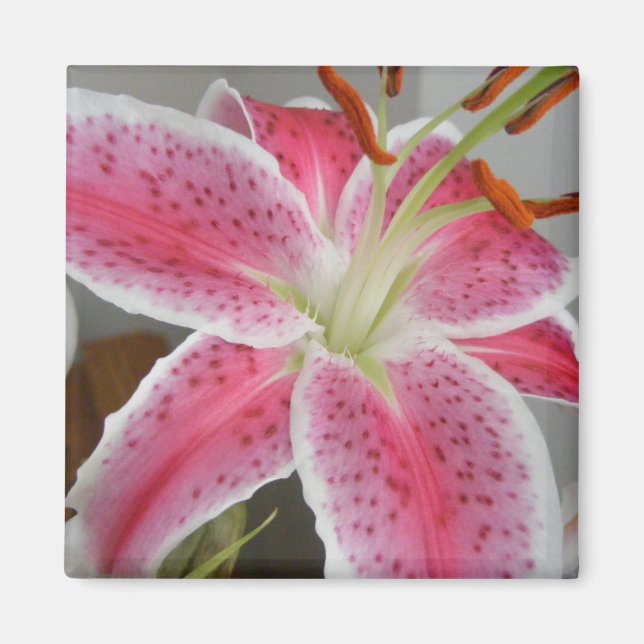 MAGNET WITH PINK LILY (Front)