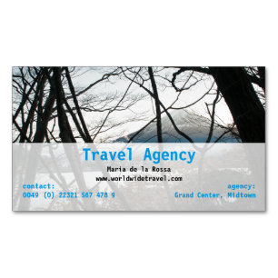 Magnetic Business Cards