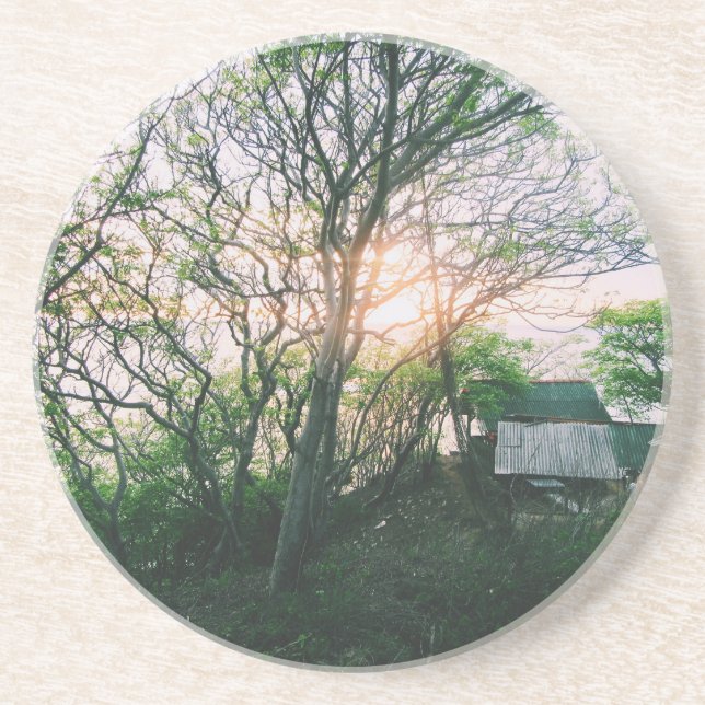 Magnetic Card Coaster (Front)