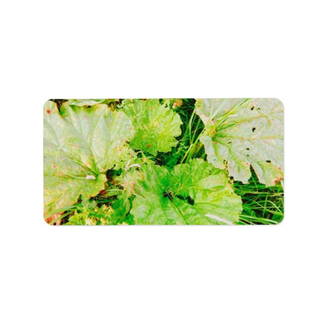 Magnetic Card Label (Front)
