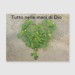 Magnetic Card, spiritual