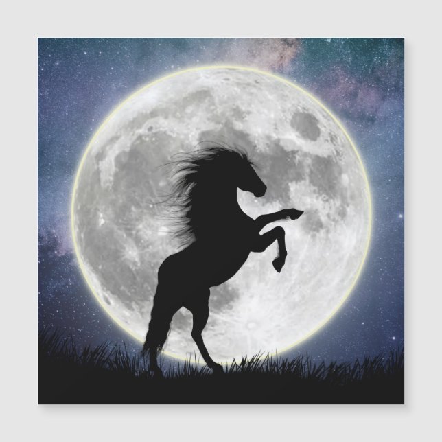 Magnetic card The horse and the white moon (Front)