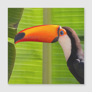 Magnetic card with Tucano design