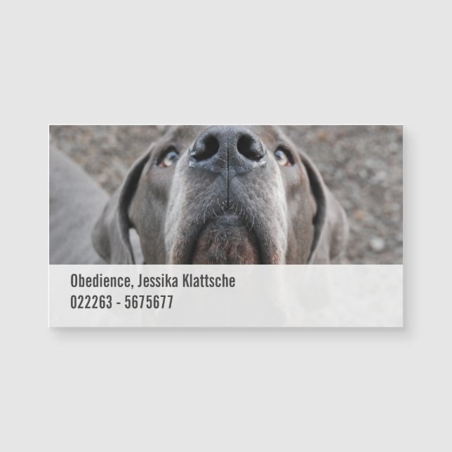 Magnetic Cards Dognose (Front)