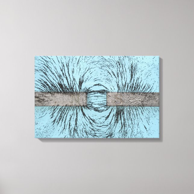 Magnetic Field Illustrated Using Iron Filings Arou Canvas Print (Front)
