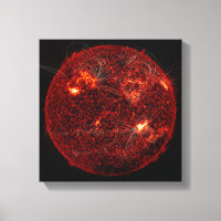 Magnetic field lines on the Sun 3