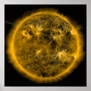 Magnetic field lines on the Sun Poster