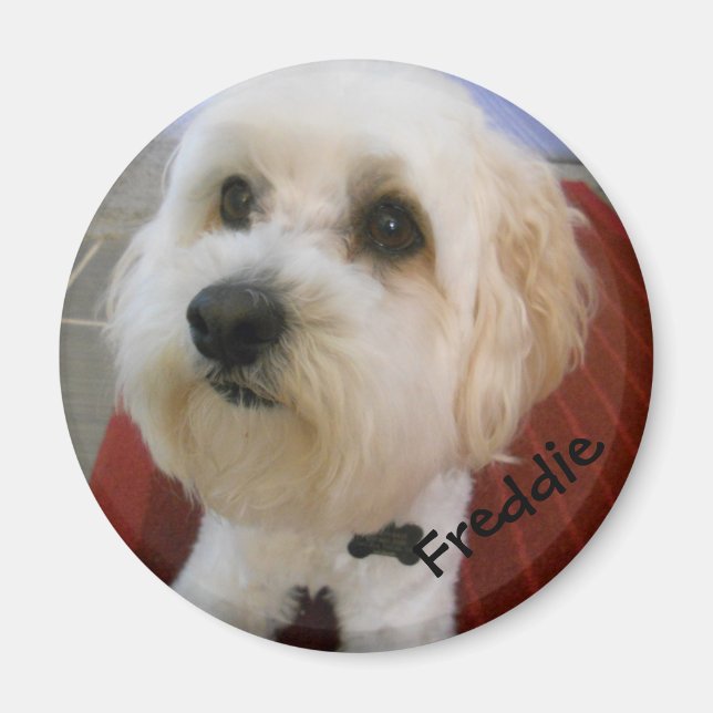 Magnetic Personalities - Freddie Magnet (Front)