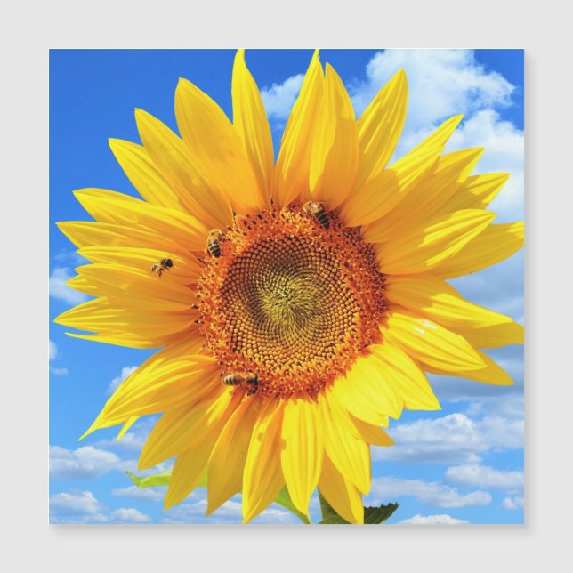 Magnetic Summer Card with Yellow Sunflower (Front)