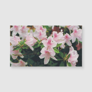 Magnétique Carte de visite floral
