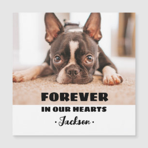 Magnétique Forever In our Hearts Pet Memorial Carte magnétiqu