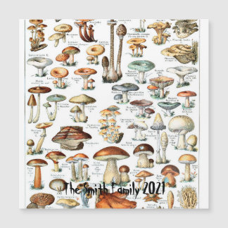 Magnétique Illustration de l'art des champignons de la carte 