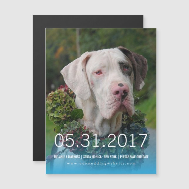 Magnétique Invitation Great Dane (Devant / Derrière)
