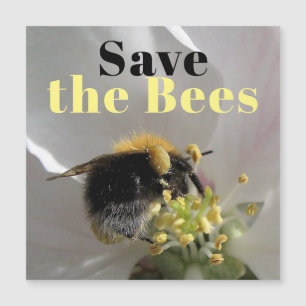 Magnétique Sauvegarder les abeilles Bumble Bee Photo Carte ma