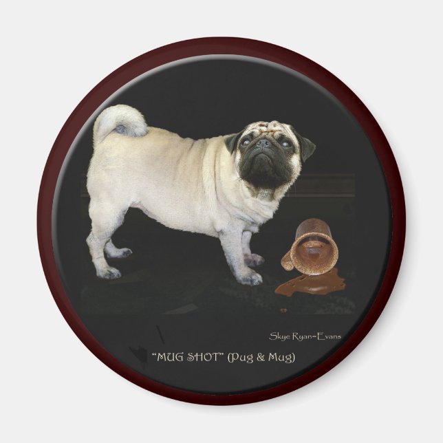 magnets d'art "MUG SHOT" (Devant)