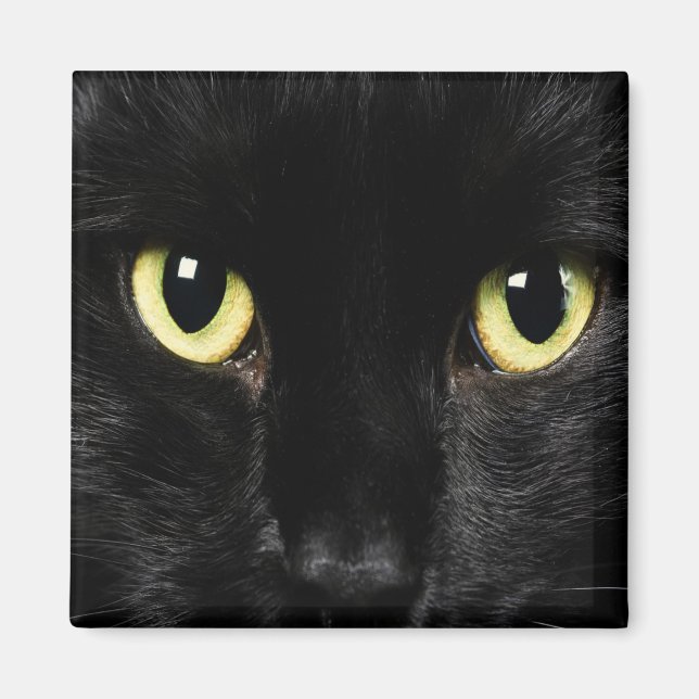 MAGNETS de casier à CAT NOIR, Réfrigérateur (Devant)