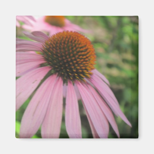 Magnets de consoeurs roses (Devant)