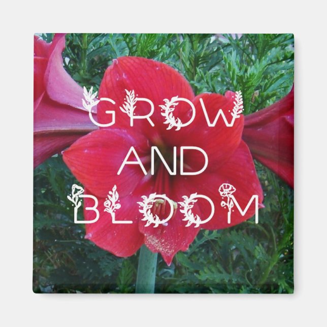 magnets de "Grow and Bloom" (Devant)