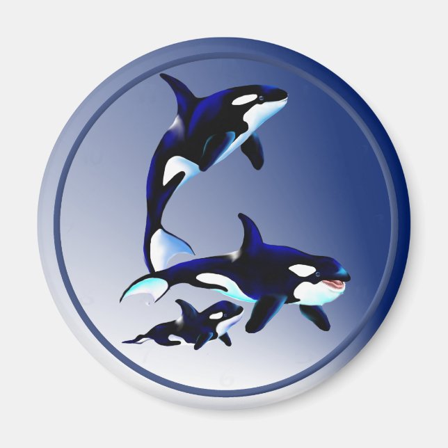 Magnets de la famille des baleines tueuses (Devant)