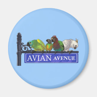 Magnets de l'avenue Avian