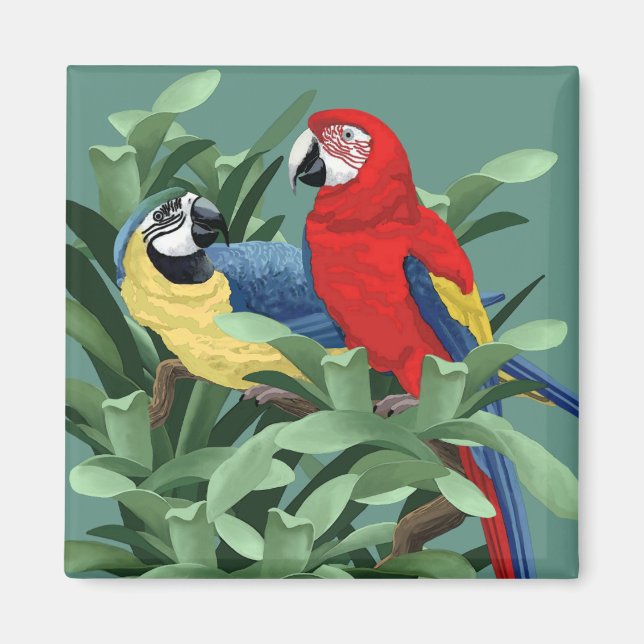 Magnets de perroquets (Devant)