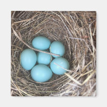 Magnets de réfrigérateur - Oeufs de bleuets
