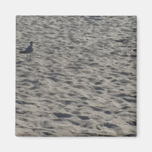 Magnets de Seagull